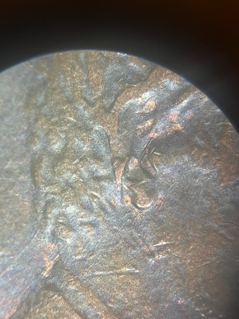 1984-Lincoln-Cents--Ear-Problem-?